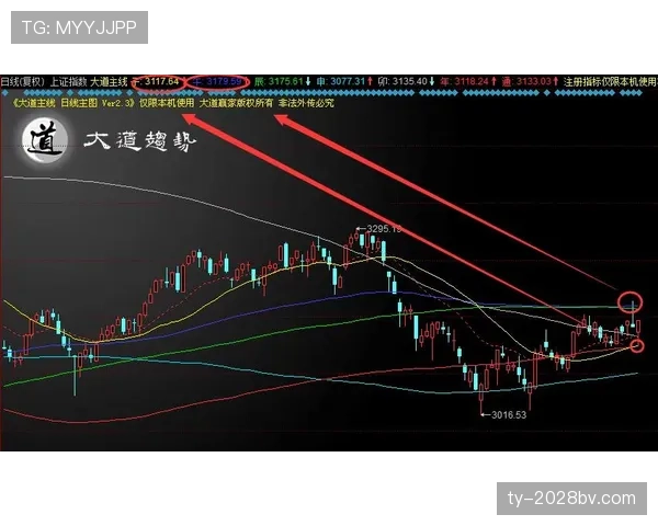 非法用手防守规则解析：何种动作构成判罚标准